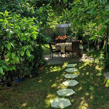 House Of Greenery Kutaisi Exterior photo
