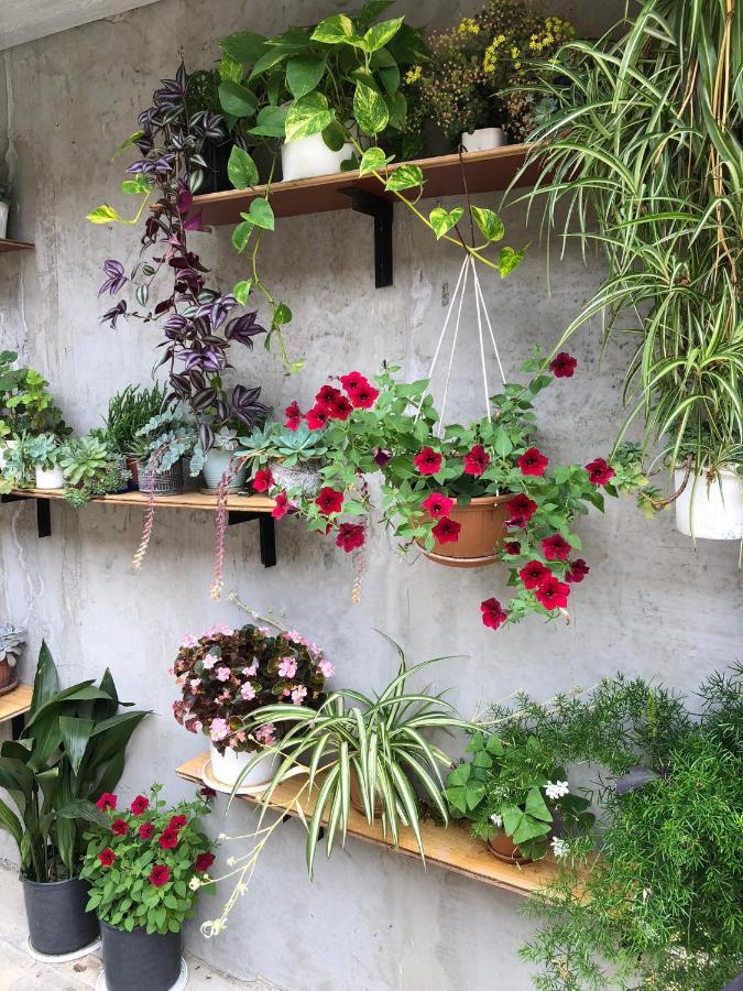 House Of Greenery Kutaisi Exterior photo